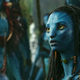 Illustration for article titled Avatar Wont Make You Go Native
